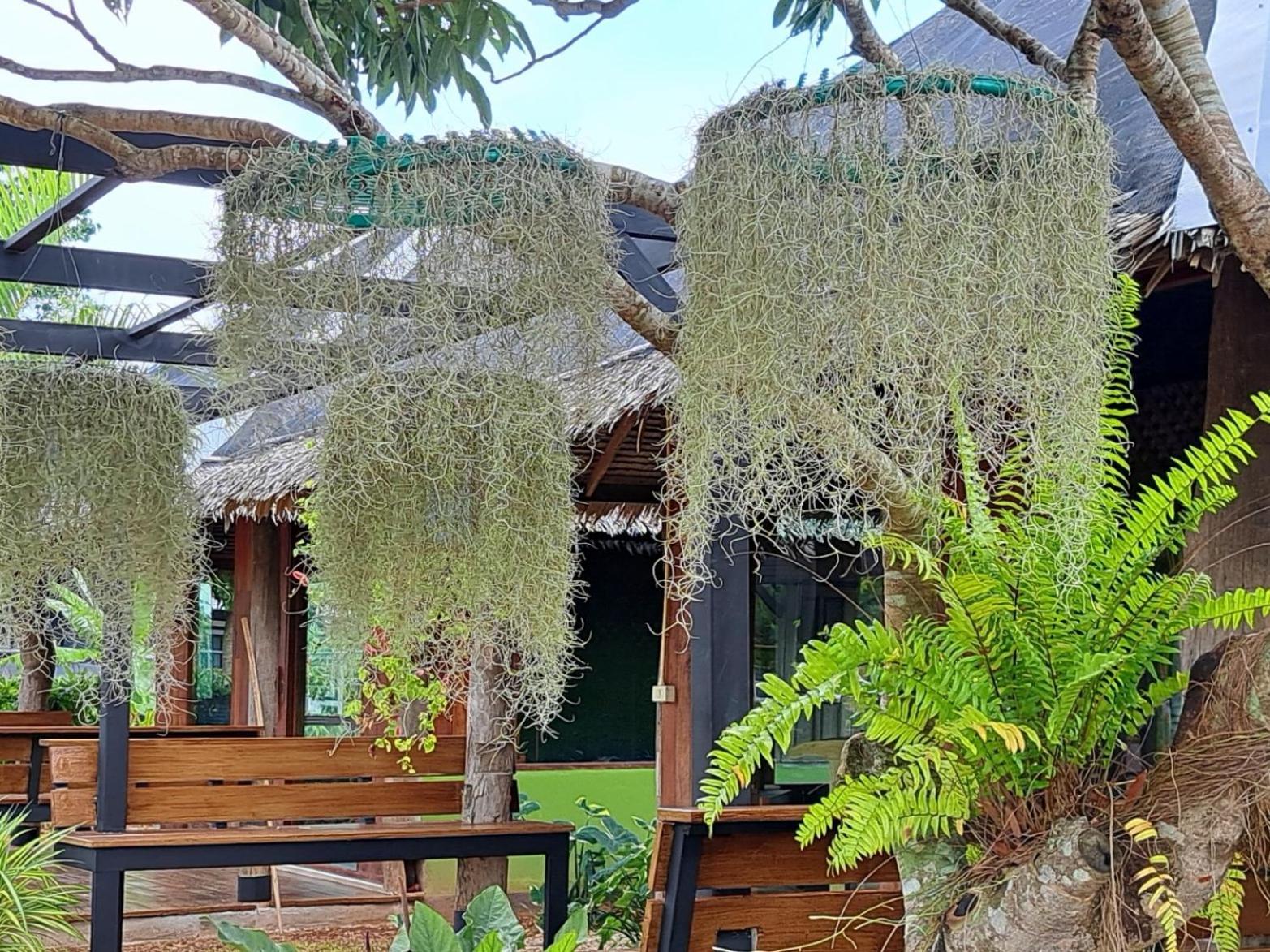 Kham Ecolodge Chiang Saen Extérieur photo